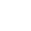 Amici di Manaus